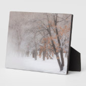 Winterschnee | Kussharo-See Fotoplatte (Seite)