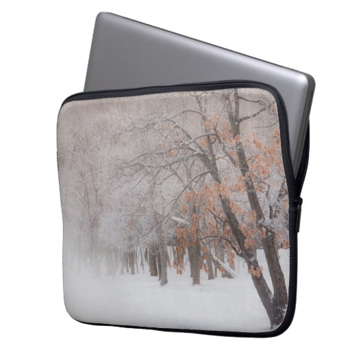 Winterschnee | Kussharo-See Laptopschutzhülle (Vorderseite Links)