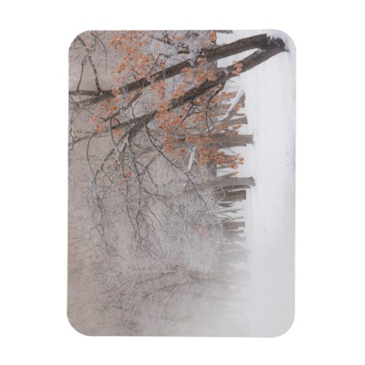 Winterschnee | Kussharo-See Magnet (Vertikal)