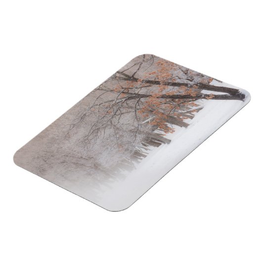 Winterschnee | Kussharo-See Magnet (Linke Seite)