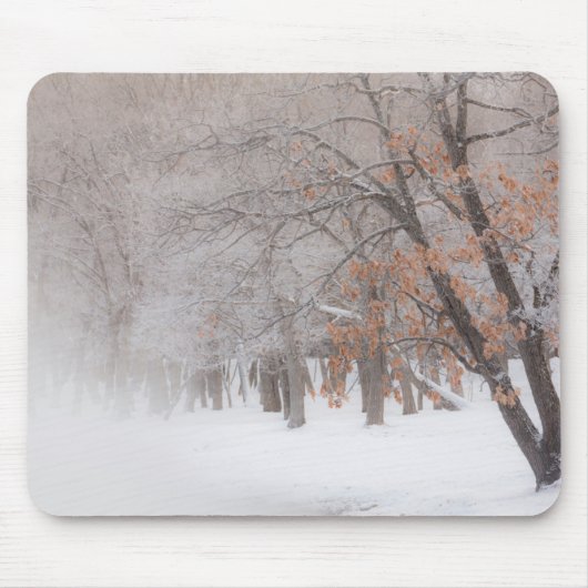 Winterschnee | Kussharo-See Mousepad (Vorne)