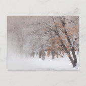 Winterschnee | Kussharo-See Postkarte (Vorderseite)