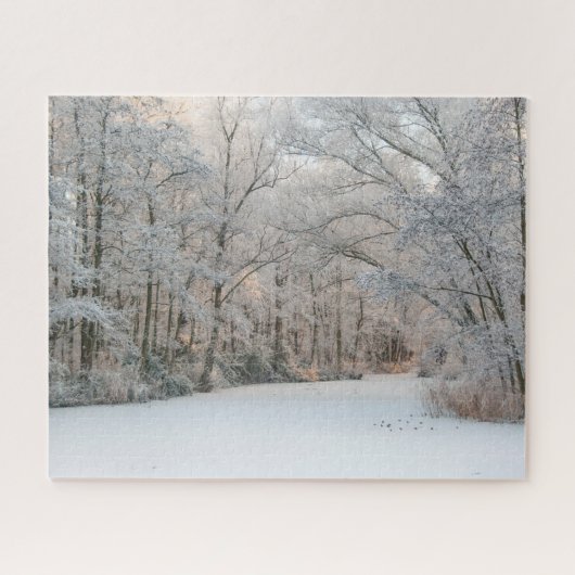 Winterschnee Landschaft, 520 Stücke Jigsaw Puzzle (Horizontal)