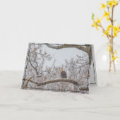 Winterschnee mit Adler Karte (Gelbe Blume)