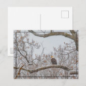 Winterschnee mit Adler Postkarte (Vorne/Hinten)