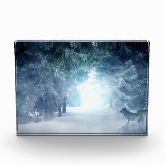 Winterschnee mit Wölfen im Evergreen Forest Fotoblock (Vorderseite)