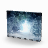 Winterschnee mit Wölfen im Evergreen Forest Fotoblock (Rechts)