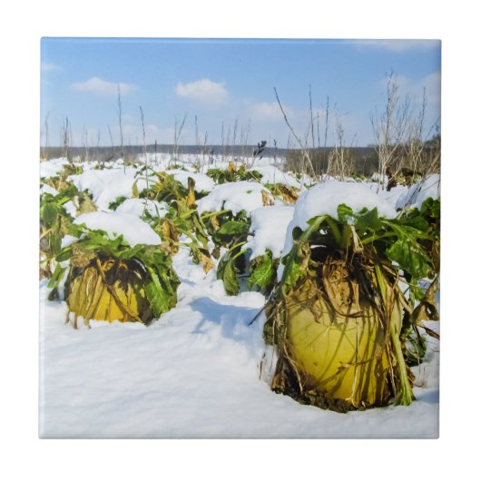 Winterschnee - Personalisierte Keramik Fliese (Vorderseite)