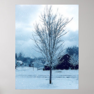 Winterschnee Poster