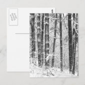 Winterschnee Postkarte (Vorne/Hinten)