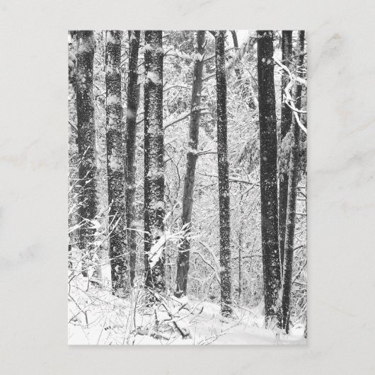 Winterschnee Postkarte (Vorderseite)