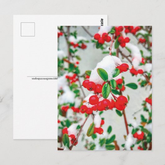 Winterschnee Rote Berge Postkarte (Vorne/Hinten)