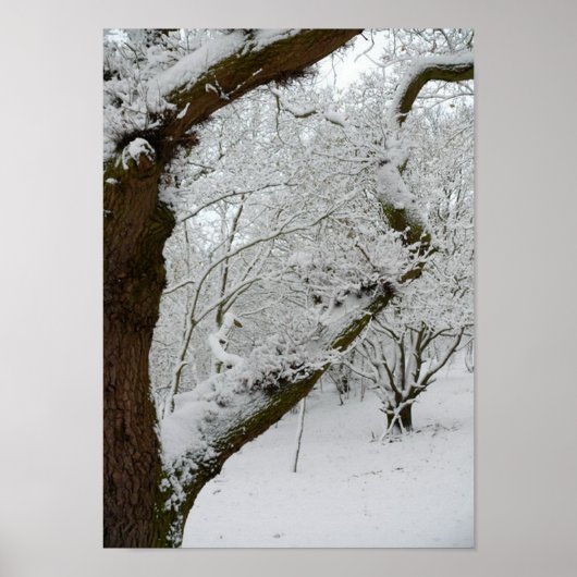 Winterschnee-Szenenposter drucken Poster (Vorne)