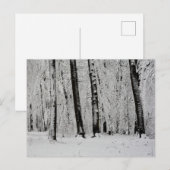 Winterschneebaume - - postkarte (Vorne/Hinten)