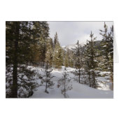 Winterschneebergszene in Montana (Vorderseite (Horizontal))