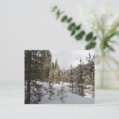 Winterschneebergszene in Montana Feiertagskarte (Stehend Vorderseite)