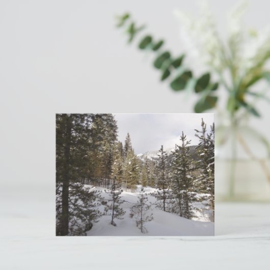 Winterschneebergszene in Montana Feiertagskarte (Stehend Vorderseite)