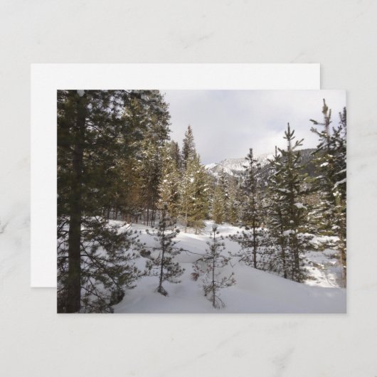Winterschneebergszene in Montana Feiertagskarte (Vorne/Hinten)