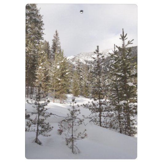 Winterschneebergszene in Montana Klemmbrett (Rückseite)