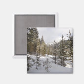 Winterschneebergszene in Montana Magnet (Vorderseite/Rückseite)