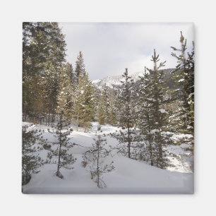 Winterschneebergszene in Montana Magnet