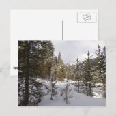 Winterschneebergszene in Montana Postkarte (Vorne/Hinten)