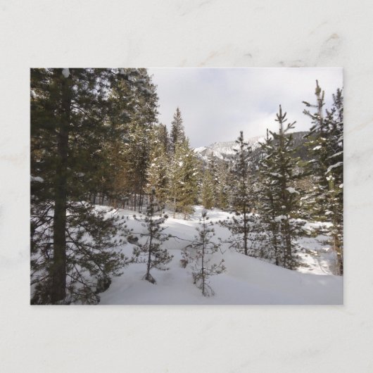 Winterschneebergszene in Montana Postkarte (Vorderseite)