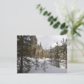 Winterschneebergszene in Montana Postkarte (Stehend Vorderseite)