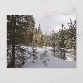 Winterschneebergszene in Montana Postkarte