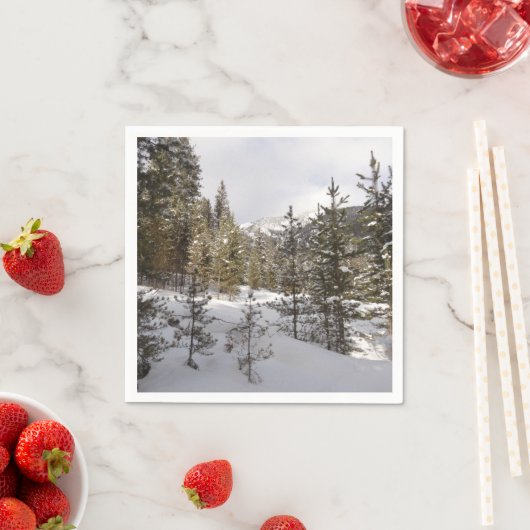 Winterschneebergszene in Montana Serviette (Beispiel)