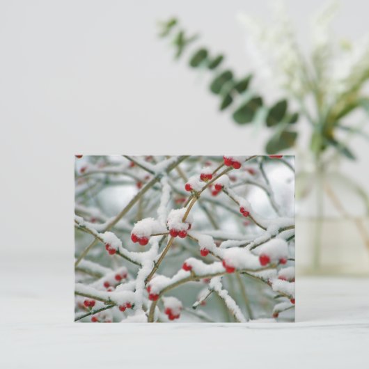 Winterschneeberries Postkarte (Stehend Vorderseite)