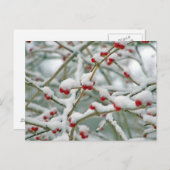 Winterschneeberries Postkarte (Vorne/Hinten)