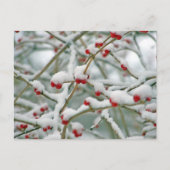 Winterschneeberries Postkarte (Vorderseite)