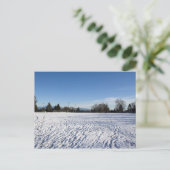Winterschneefeld Postkarte (Stehend Vorderseite)