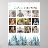 Winterschneeflocke - Meilenstein im Foto Poster (Vorne)