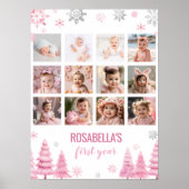 Winterschneeflocke - Meilenstein im Foto Poster (Vorne)