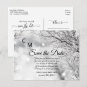 Winterschneeflocken bei Hochzeit sparen Ankündigungspostkarte (Vorne/Hinten)