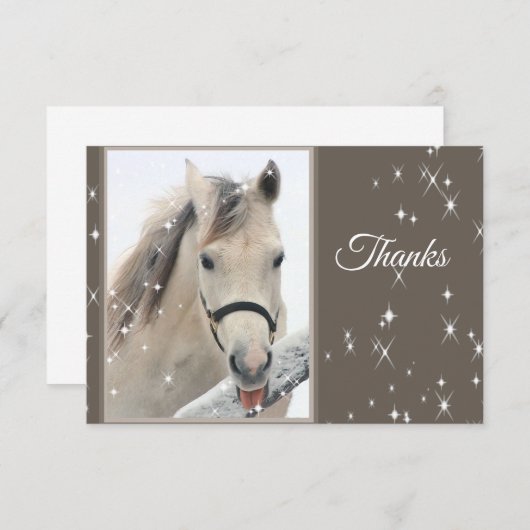 Winterschneeflocken für das Weiße Pferd Danke (Vorne/Hinten)