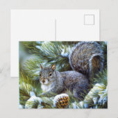 Winterschneehörnchen Postkarte (Vorne/Hinten)
