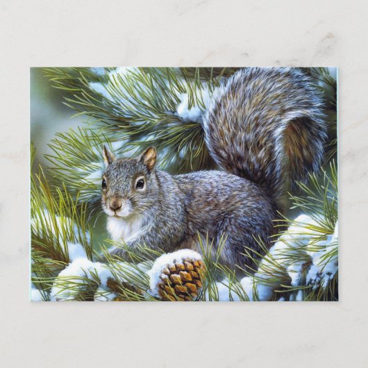 Winterschneehörnchen Postkarte (Vorderseite)