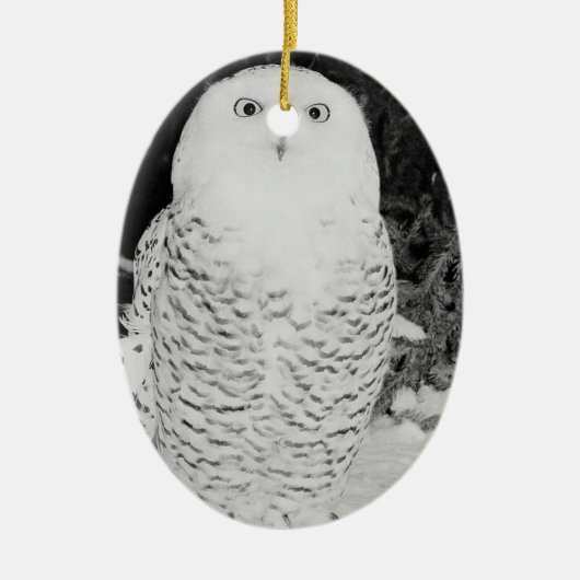 Winterschneehühner Tierwelt Feriendekoration Keramik Ornament (Vorne)