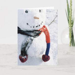 Winterschneekarten und Aufkleber Feiertagskarte