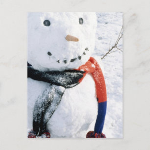 Winterschneekarten und Aufkleber Postkarte