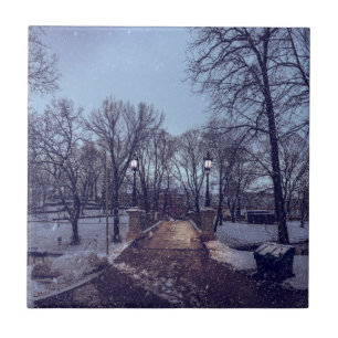 Winterschneepark im Abend Fliese