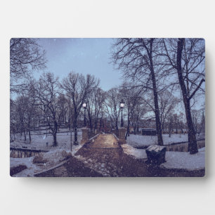 Winterschneepark im Abend Fotoplatte