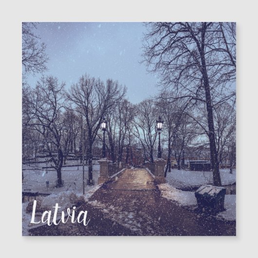 Winterschneepark im Abend Magnetkarte (Vorderseite)