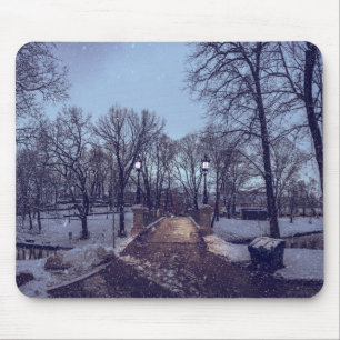 Winterschneepark im Abend Mousepad