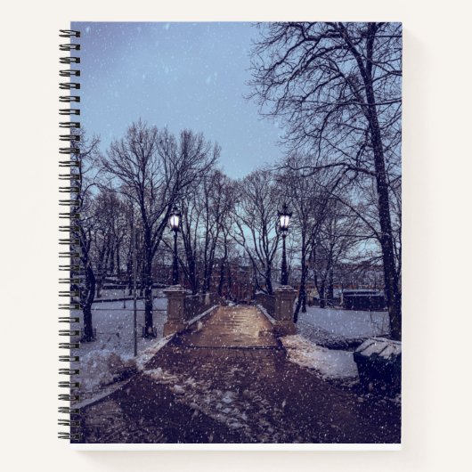Winterschneepark im Abend Notizblock (Vorderseite)