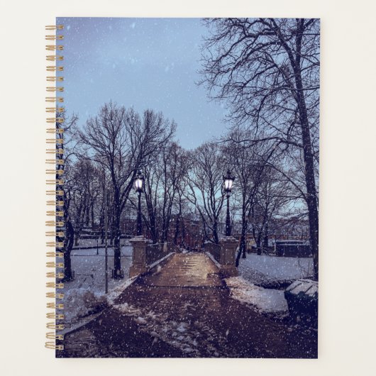 Winterschneepark im Abend Planer (Vorderseite)