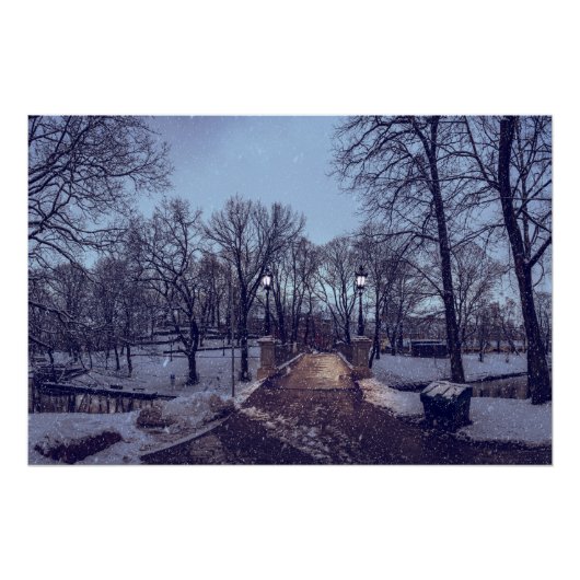 Winterschneepark im Abend Poster (Vorderseite)